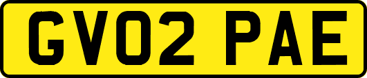 GV02PAE