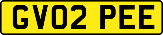 GV02PEE