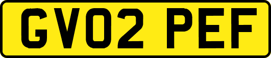 GV02PEF