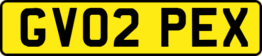 GV02PEX