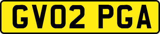 GV02PGA