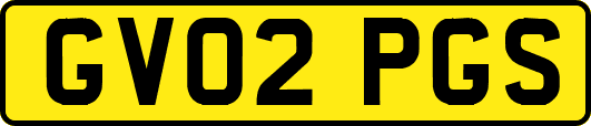 GV02PGS