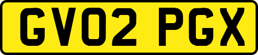 GV02PGX