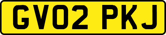 GV02PKJ