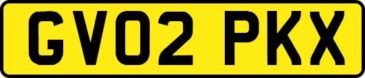 GV02PKX