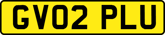 GV02PLU