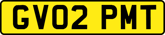 GV02PMT