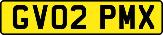 GV02PMX