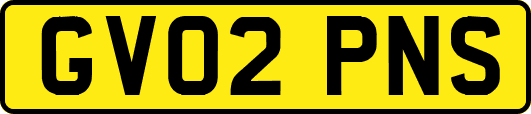 GV02PNS