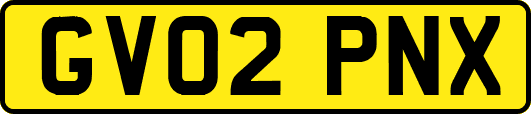GV02PNX