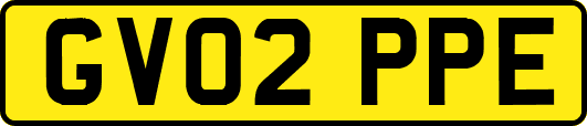 GV02PPE