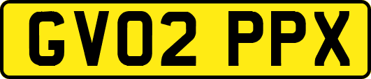 GV02PPX