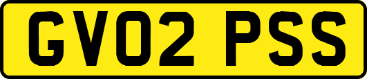 GV02PSS
