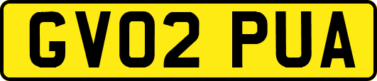 GV02PUA
