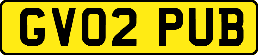 GV02PUB