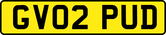 GV02PUD