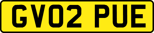 GV02PUE