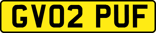 GV02PUF