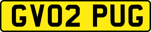 GV02PUG