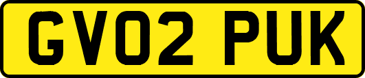 GV02PUK