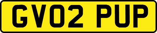 GV02PUP