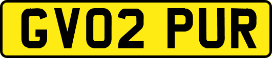 GV02PUR