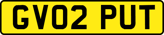 GV02PUT