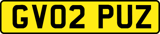 GV02PUZ