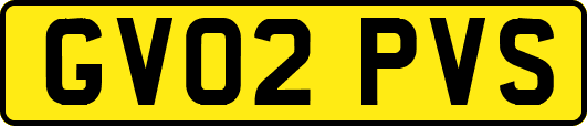 GV02PVS