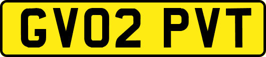 GV02PVT