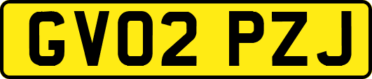 GV02PZJ