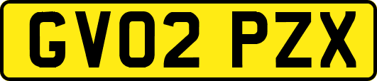 GV02PZX