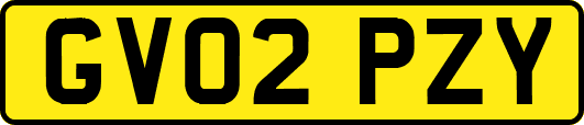 GV02PZY