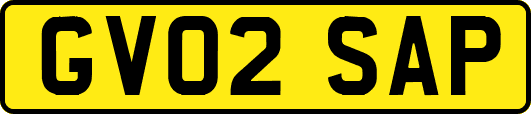 GV02SAP