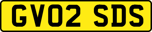 GV02SDS