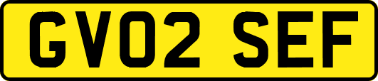 GV02SEF