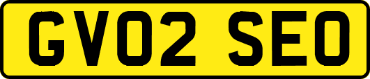 GV02SEO