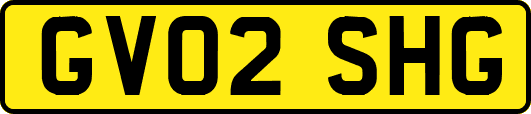 GV02SHG