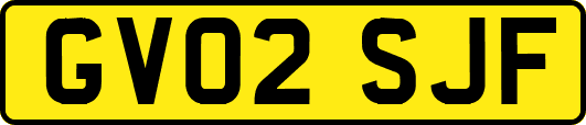 GV02SJF