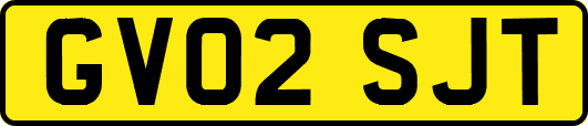 GV02SJT