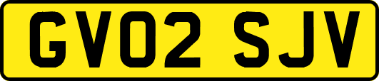 GV02SJV
