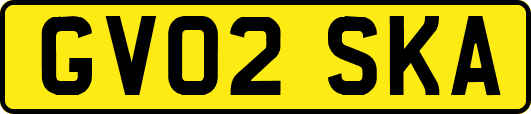 GV02SKA