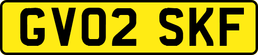 GV02SKF