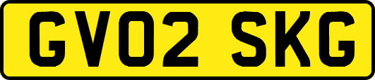 GV02SKG
