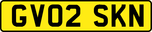 GV02SKN