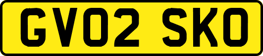 GV02SKO