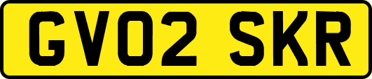GV02SKR