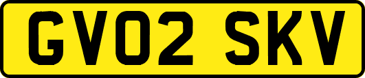GV02SKV