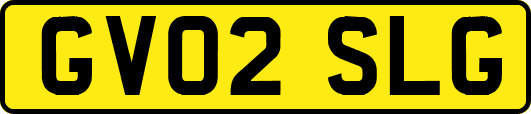 GV02SLG