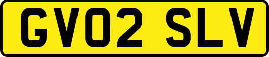GV02SLV